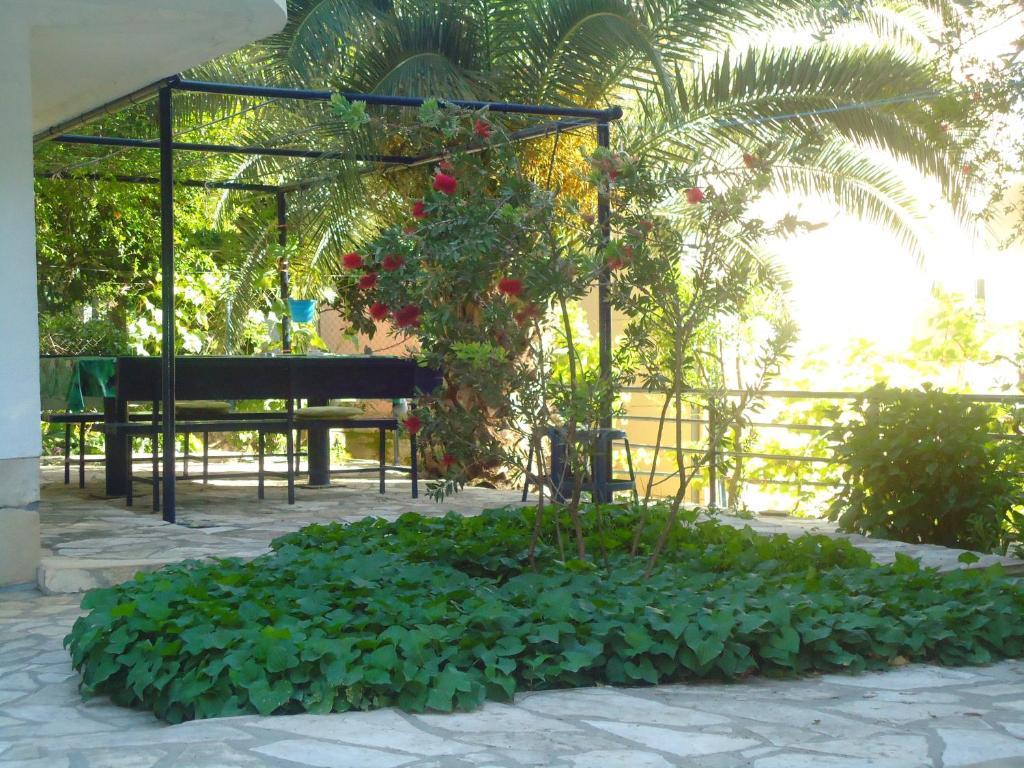 Apartments Villa Petranovic Budva Eksteriør billede