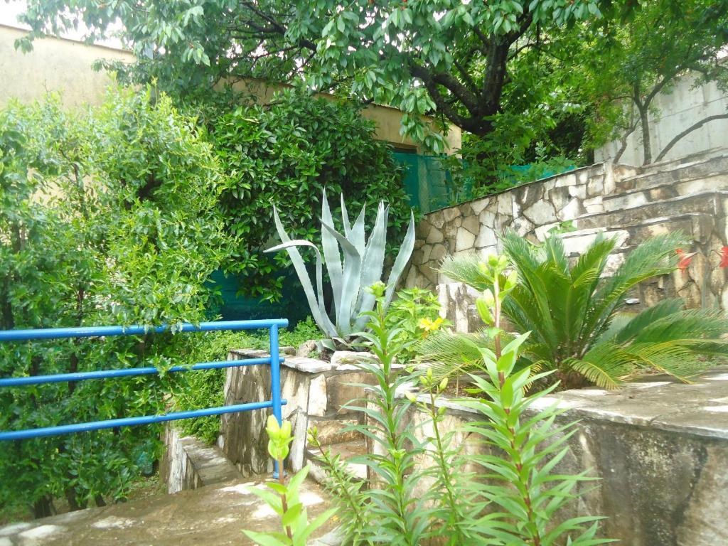Apartments Villa Petranovic Budva Værelse billede