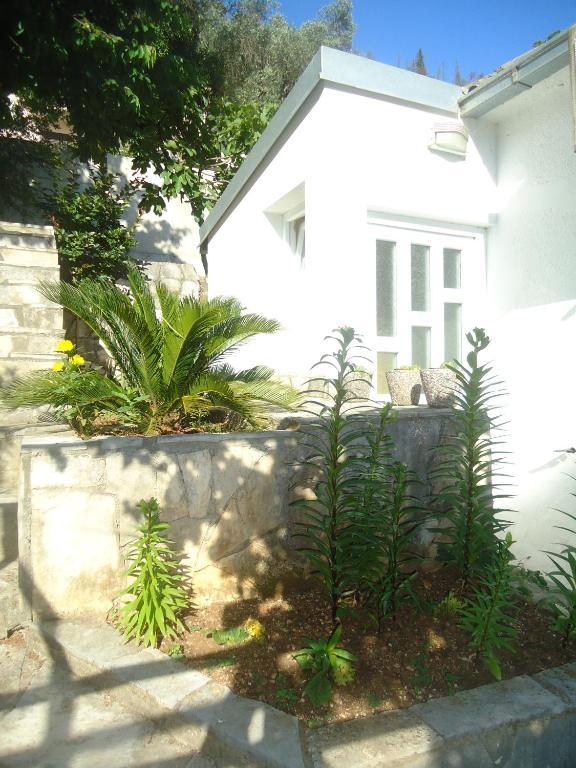 Apartments Villa Petranovic Budva Værelse billede