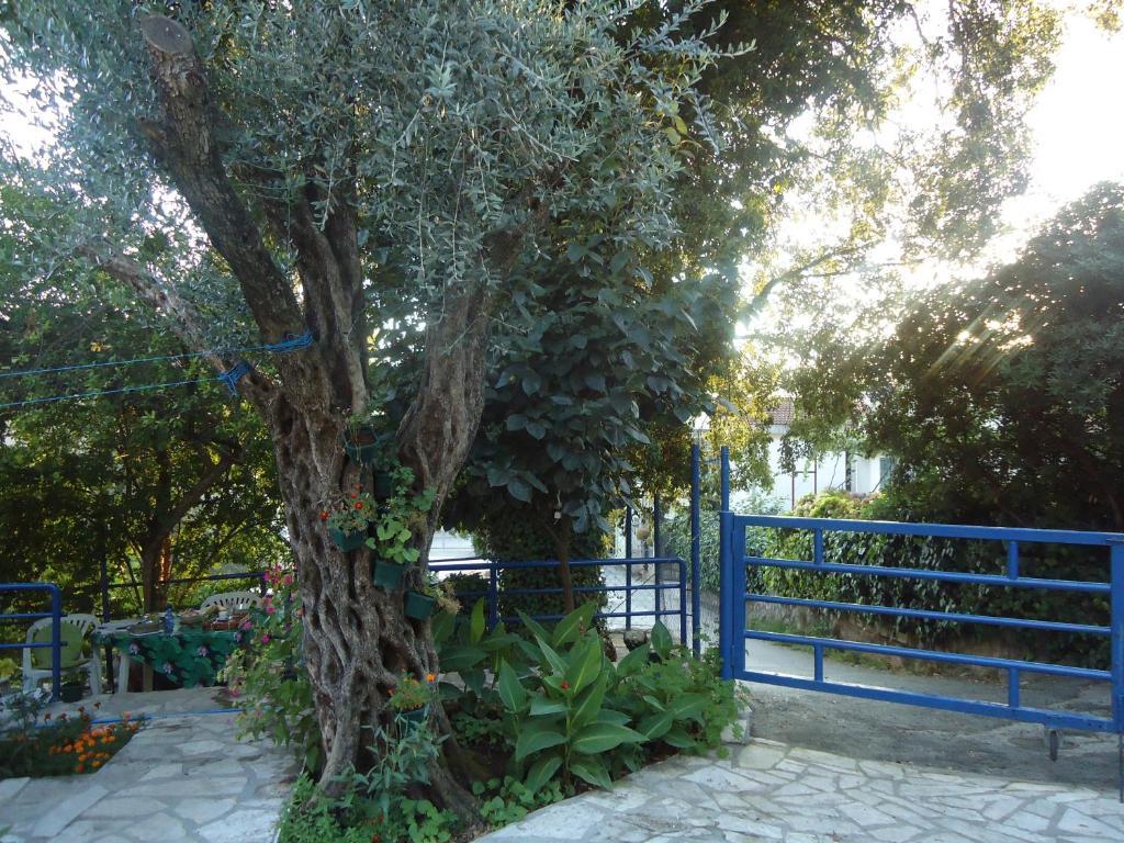 Apartments Villa Petranovic Budva Eksteriør billede